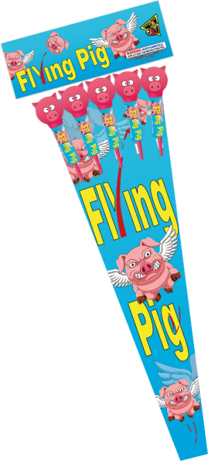 Flying Pig Rocket