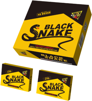 Black Snake