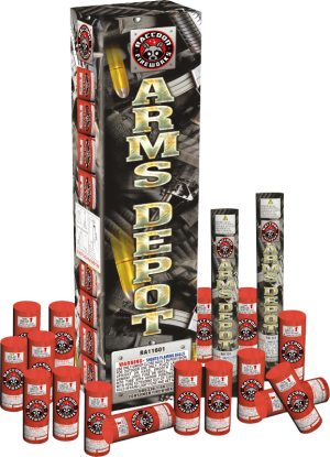 4" Arms Depot
