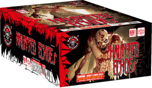 66 Haunted Echo